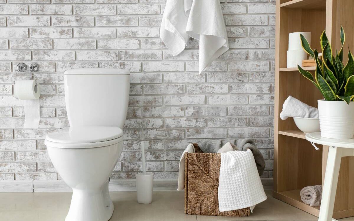 Que faire lors d&#8217;une fuite des toilettes ? Wittenheim